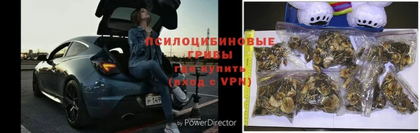 твердый Гусь-Хрустальный