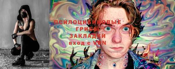мяу мяу мука Гусев