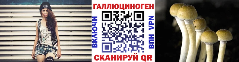 Купить  Десногорск  Псилоцибиновые грибы GOLDEN TEACHER 